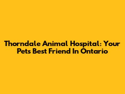 Thorndale Animal Hospital: Your Pet's Best Friend In Ontario