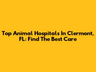 Top Animal Hospitals In Clermont, FL: Find The Best Care